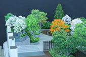 建築模型　植栽037